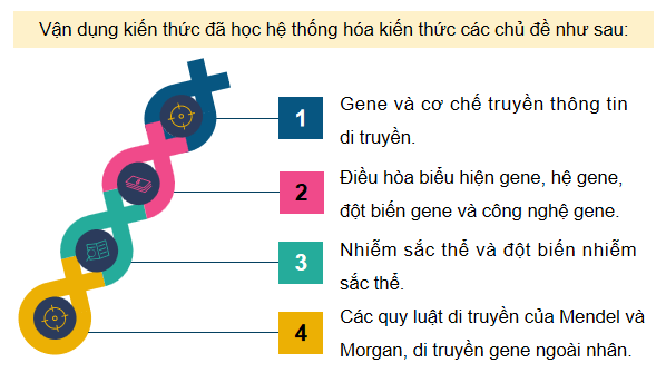 Giáo án điện tử Sinh 12 Chân trời sáng tạo Ôn tập Chương 1 | PPT Sinh học 12