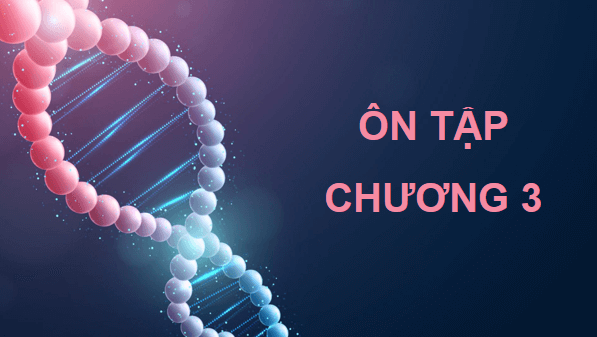 Giáo án điện tử Sinh 12 Chân trời sáng tạo Ôn tập Chương 3 | PPT Sinh học 12