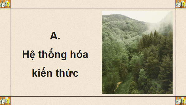 Giáo án điện tử Sinh 12 Chân trời sáng tạo Ôn tập Chương 6 | PPT Sinh học 12