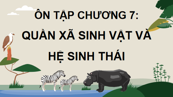 Giáo án điện tử Sinh 12 Chân trời sáng tạo Ôn tập Chương 7 | PPT Sinh học 12