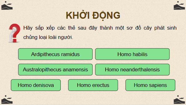 Giáo án điện tử Sinh 12 Cánh diều Ôn tập Phần 6 | PPT Sinh học 12