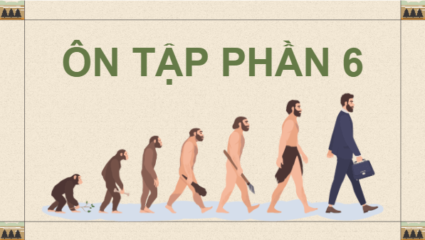 Giáo án điện tử Sinh 12 Cánh diều Ôn tập Phần 6 | PPT Sinh học 12