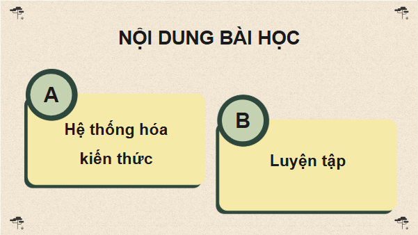 Giáo án điện tử Sinh 12 Cánh diều Ôn tập Phần 6 | PPT Sinh học 12