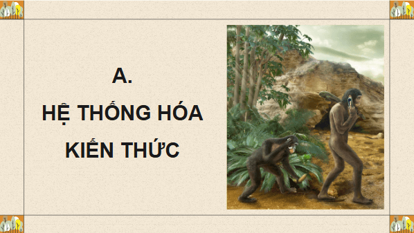 Giáo án điện tử Sinh 12 Cánh diều Ôn tập Phần 6 | PPT Sinh học 12