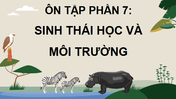 Giáo án điện tử Sinh 12 Cánh diều Ôn tập Phần 7 | PPT Sinh học 12