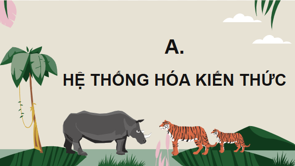 Giáo án điện tử Sinh 12 Cánh diều Ôn tập Phần 7 | PPT Sinh học 12