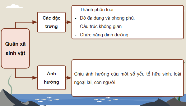 Giáo án điện tử Sinh 12 Cánh diều Ôn tập Phần 7 | PPT Sinh học 12