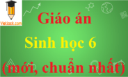 Giáo án Sinh học lớp 6 mới nhất | Giáo án Sinh học 6 chuẩn nhất