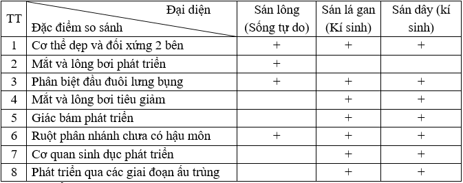 Giáo án Sinh học 7 Bài 12: Một số giun dẹp khác và đặc điểm chung của ngành Giun dẹp | Giáo án Sinh học 7 mới, chuẩn nhất