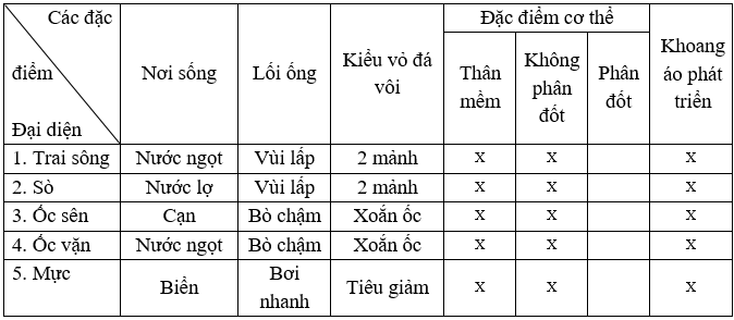 Giáo án Sinh học 7 Bài 21: Đặc điểm chung và vai trò của ngành Thân mềm | Giáo án Sinh học 7 mới, chuẩn nhất