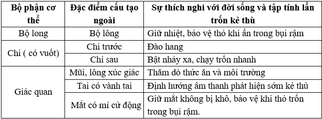 Giáo án Sinh học 7 Bài 44: Thỏ | Giáo án Sinh học 7 mới, chuẩn nhất