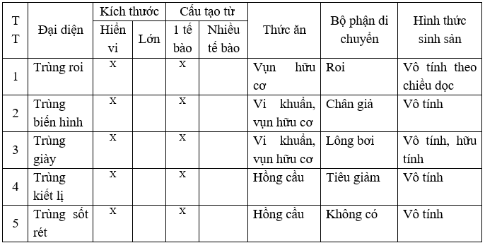 Giáo án Sinh học 7 Bài 7: Đặc điểm chung và vai trò thực tiễn của Động vật nguyên sinh | Giáo án Sinh học 7 mới, chuẩn nhất