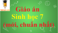 Giáo án Sinh học 7 chuẩn nhất | Giáo án Sinh học 7 mới nhất