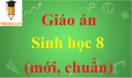 Giáo án Sinh học lớp 8 mới, chuẩn nhất