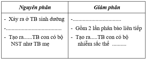 Giáo án Sinh học 9 Bài 10: Giảm phân | Giáo án Sinh học 9 mới, chuẩn nhất