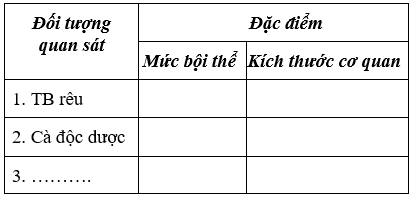 Giáo án Sinh học 9 Bài 24: Đột biến số lượng nhiễm sắc thể (tiếp theo) | Giáo án Sinh học 9 mới, chuẩn nhất