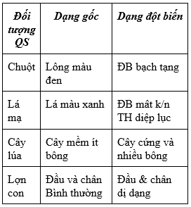 Giáo án Sinh học 9 Bài 26: Thực hành : Nhận biết một vài dạng đột biến | Giáo án Sinh học 9 mới, chuẩn nhất