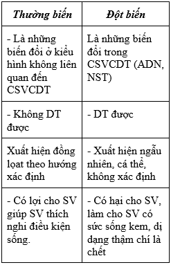 Giáo án Sinh học 9 Bài 27: Thực hành : Quan sát thường biến | Giáo án Sinh học 9 mới, chuẩn nhất