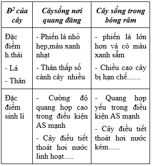 Giáo án Sinh học 9 Bài 42: Ảnh hưởng của ánh sáng lên đời sống sinh vật | Giáo án Sinh học 9 mới, chuẩn nhất