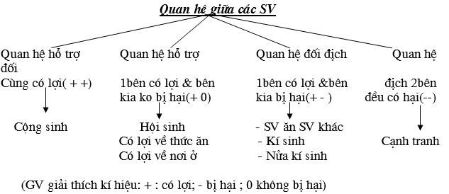 Giáo án Sinh học 9 Bài 44: Ảnh hưởng lẫn nhau giữa các sinh vật | Giáo án Sinh học 9 mới, chuẩn nhất