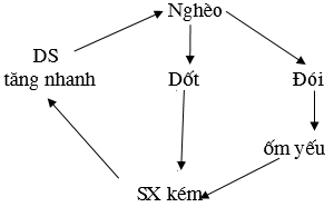 Giáo án Sinh học 9 Bài 48: Quần thể người | Giáo án Sinh học 9 mới, chuẩn nhất