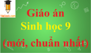 Giáo án Sinh học lớp 9 chuẩn nhất | Giáo án Sinh học 9 mới nhất