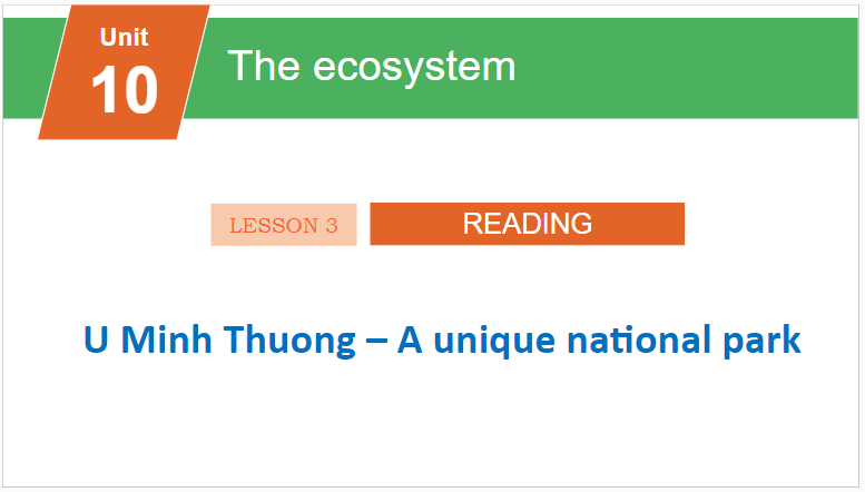 Giáo án điện tử Tiếng Anh 11 Global Success Unit 10 Reading | PPT Tiếng Anh 11