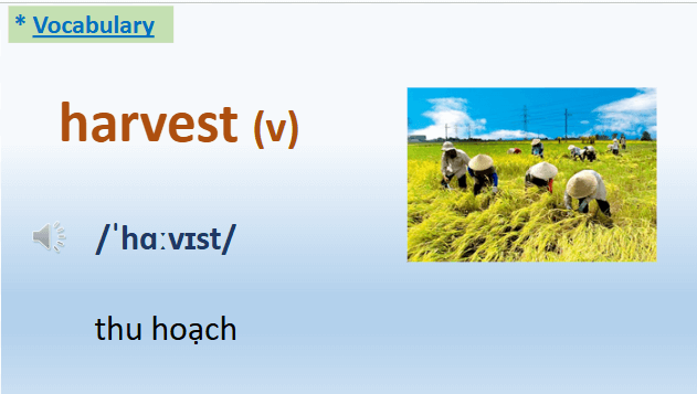 Giáo án điện tử Tiếng Anh 8 Global Success Unit 2 Getting Started | PPT Tiếng Anh 8