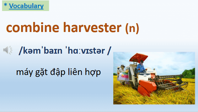 Giáo án điện tử Tiếng Anh 8 Global Success Unit 2 Getting Started | PPT Tiếng Anh 8