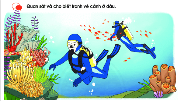 Giáo án điện tử Bài 1: Khu rừng kì lạ dưới đáy biển lớp 1 | PPT Tiếng Việt lớp 1 Chân trời sáng tạo