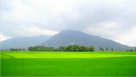 Giáo án điện tử Bài 1: Làng em buổi sáng lớp 1 | PPT Tiếng Việt lớp 1 Chân trời sáng tạo