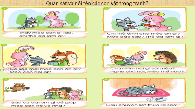 Giáo án điện tử Kể chuyện Mèo con bị lạc lớp 1 | PPT Tiếng Việt lớp 1 Cánh diều