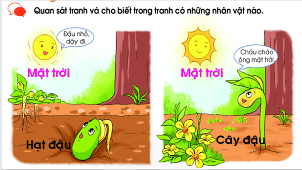 Giáo án điện tử Bài 2: Mặt trời và hạt đậu lớp 1 | PPT Tiếng Việt lớp 1 Chân trời sáng tạo