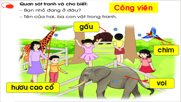 Giáo án điện tử Bài 2: Vui học ở Thảo cầm viên lớp 1 | PPT Tiếng Việt lớp 1 Chân trời sáng tạo