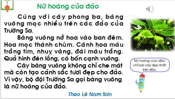 Giáo án điện tử Bài 3: Nữ hoàng của đảo lớp 1 | PPT Tiếng Việt lớp 1 Chân trời sáng tạo