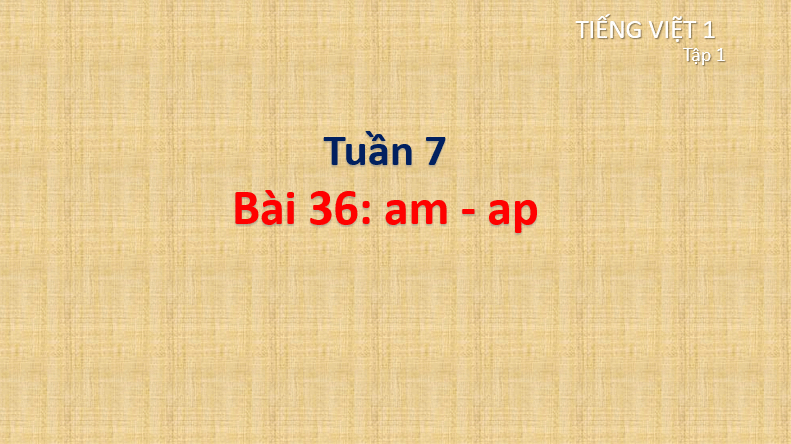 Giáo án điện tử am, ap lớp 1 | PPT Tiếng Việt lớp 1 Cánh diều