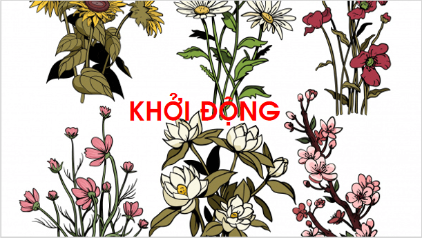 Giáo án điện tử Bài 5: Ôn tập và kể chuyện trang 14 Tập 2 lớp 1 | PPT Tiếng Việt lớp 1 Chân trời sáng tạo