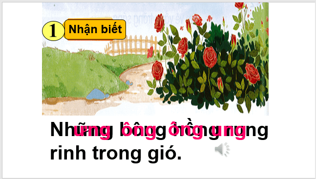 Giáo án điện tử ong, ông, ung, ưng lớp 1 | PPT Tiếng Việt lớp 1 Kết nối tri thức