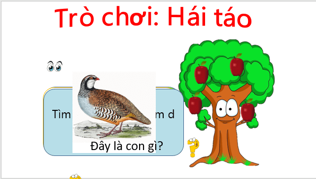 Giáo án điện tử Ơ, ơ, dấu ngã lớp 1 | PPT Tiếng Việt lớp 1 Kết nối tri thức