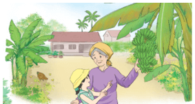Giáo án Tiếng Việt lớp 2 Bài 3: Bà nội, bà ngoại | Chân trời sáng tạo