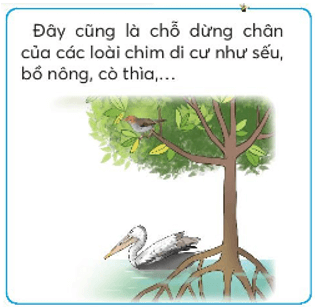 Giáo án Tiếng Việt lớp 2 Ôn tập 2 Tập 2 trang 75, 76 | Chân trời sáng tạo