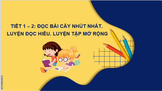 Giáo án điện tử Cây nhút nhát lớp 2 | PPT Tiếng Việt lớp 2 Chân trời sáng tạo