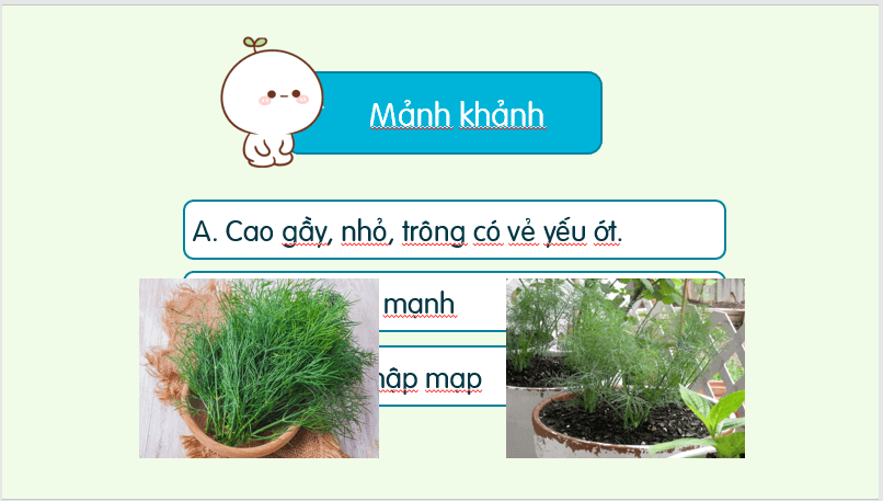 Giáo án điện tử Sự tích cây thì là lớp 2 | PPT Tiếng Việt lớp 2 Kết nối tri thức