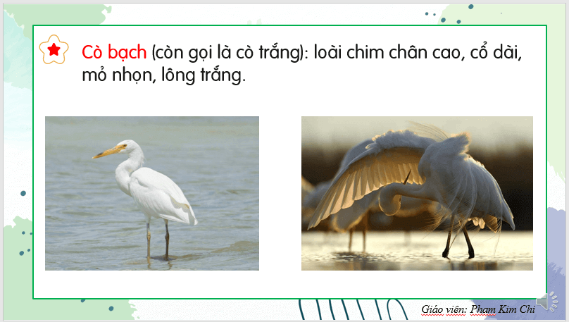 Giáo án điện tử Bờ tre đón khách lớp 2 | PPT Tiếng Việt lớp 2 Kết nối tri thức