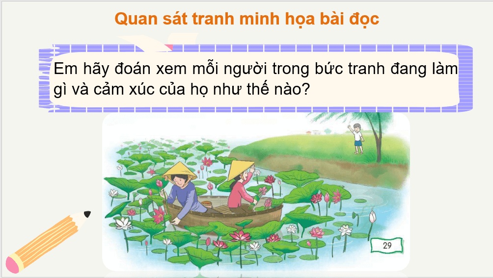 Giáo án điện tử Đầm sen lớp 2 | PPT Tiếng Việt lớp 2 Chân trời sáng tạo