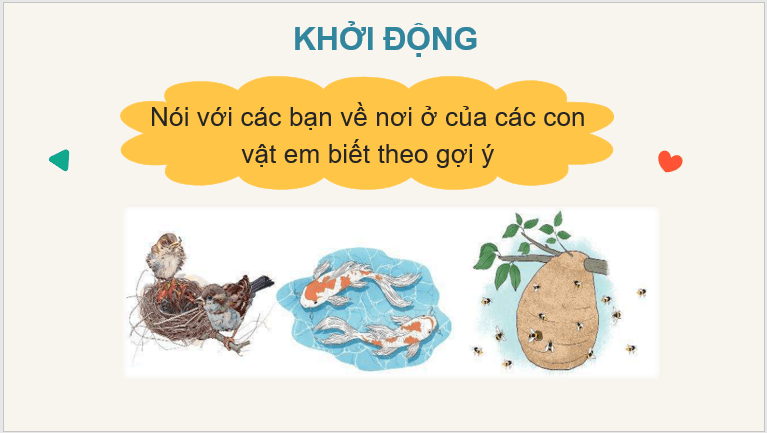 Giáo án điện tử Ong xây tổ lớp 2 | PPT Tiếng Việt lớp 2 Chân trời sáng tạo