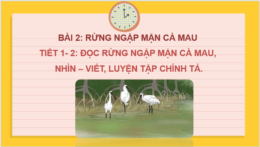 Giáo án điện tử Rừng ngập mặn Cà Mau lớp 2 | PPT Tiếng Việt lớp 2 Chân trời sáng tạo