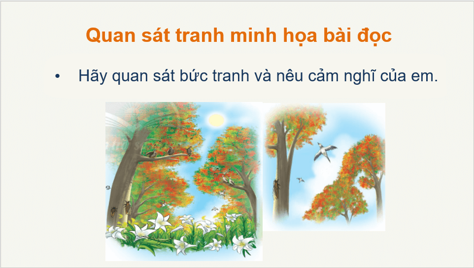 Giáo án điện tử Dàn nhạc mùa hè lớp 2 | PPT Tiếng Việt lớp 2 Chân trời sáng tạo