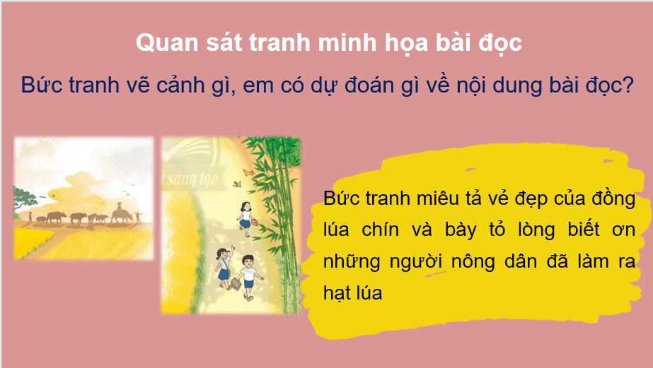 Giáo án điện tử Mùa lúa chín lớp 2 | PPT Tiếng Việt lớp 2 Chân trời sáng tạo