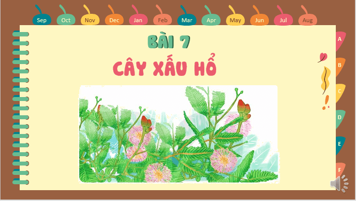 Giáo án điện tử Cây xấu hổ lớp 2 | PPT Tiếng Việt lớp 2 Kết nối tri thức